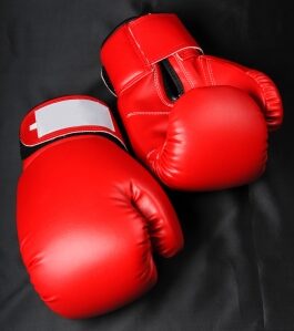 Red-Boxing-Gloves