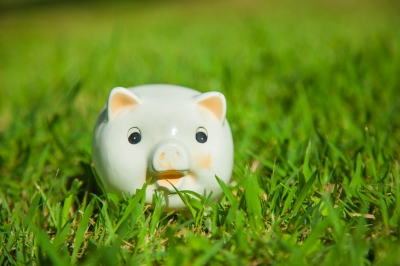 Piggy-Bank-In-Grass