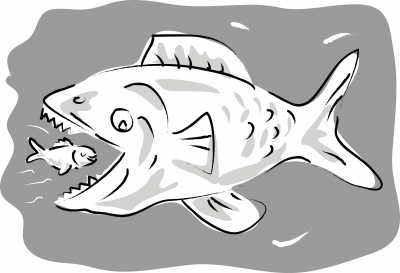 Fish-Eating-Another-Fish-Drawing