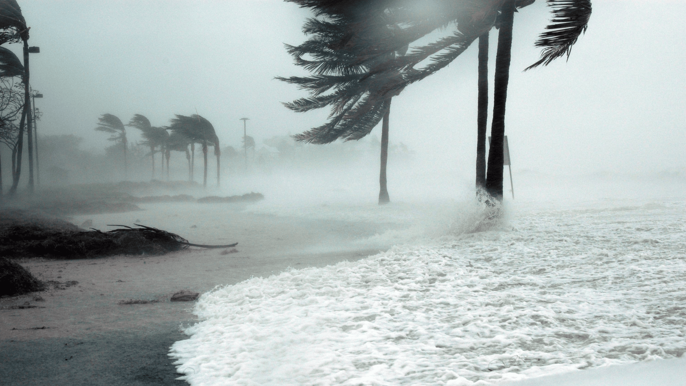 Hurricane-In-Key-West-Florida